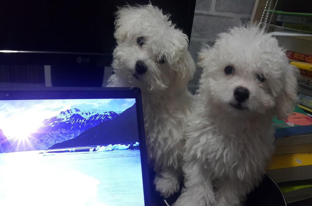보고싶어서,