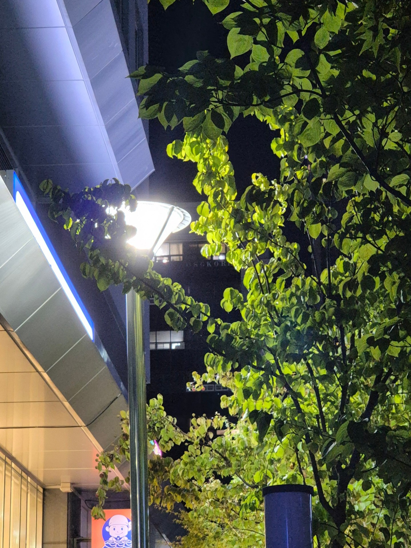 4 : 22 잠이 깨버렸습니디ㅏ