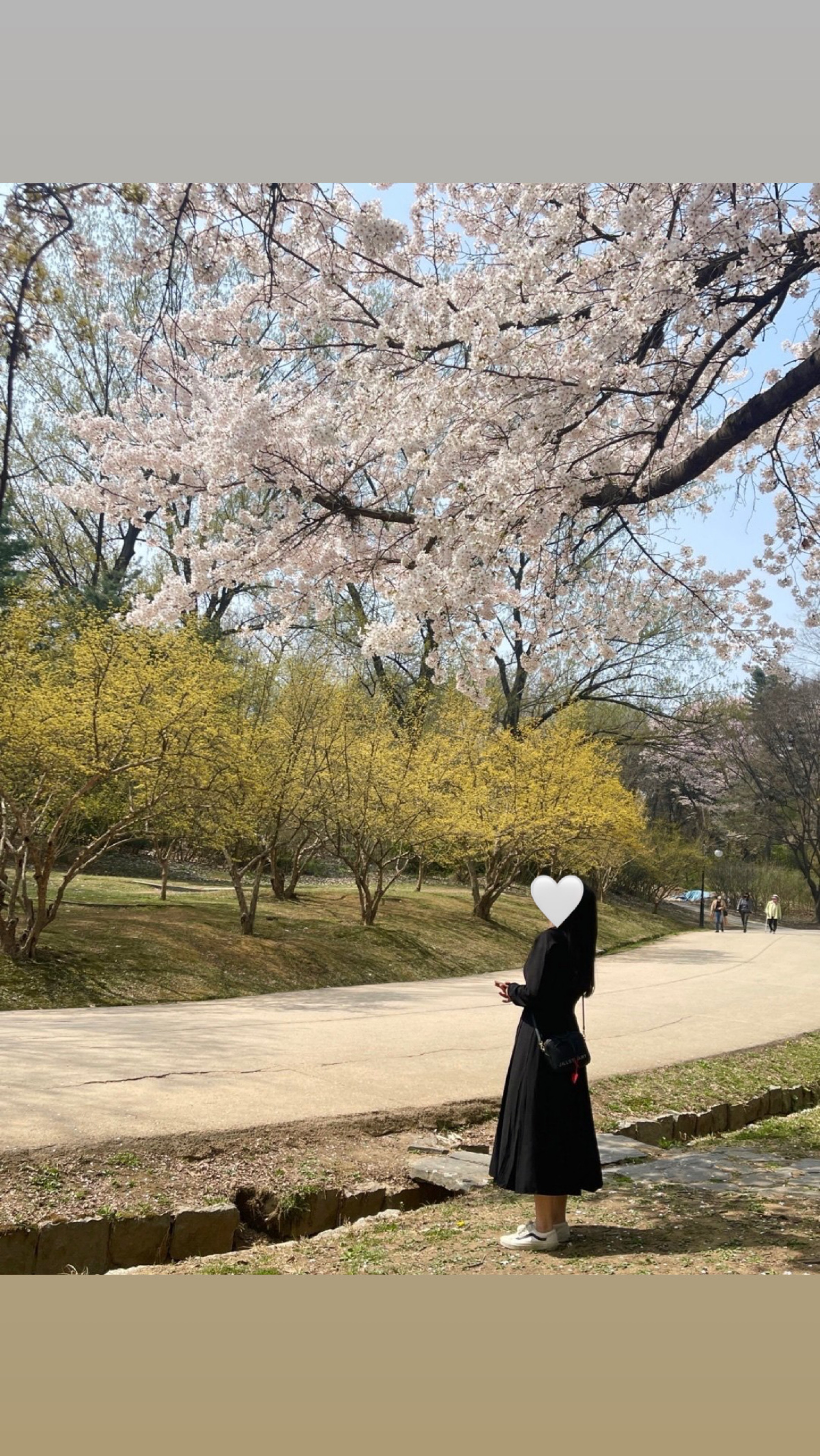 날씨 조오타
