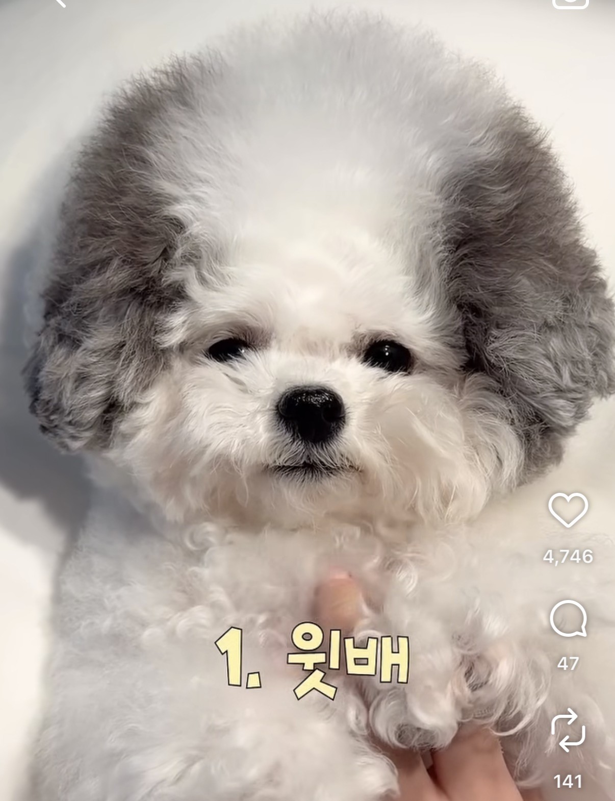 오늘오후 8:30분에봐요 ! !