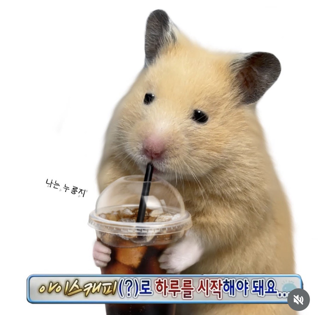 # 리리리방