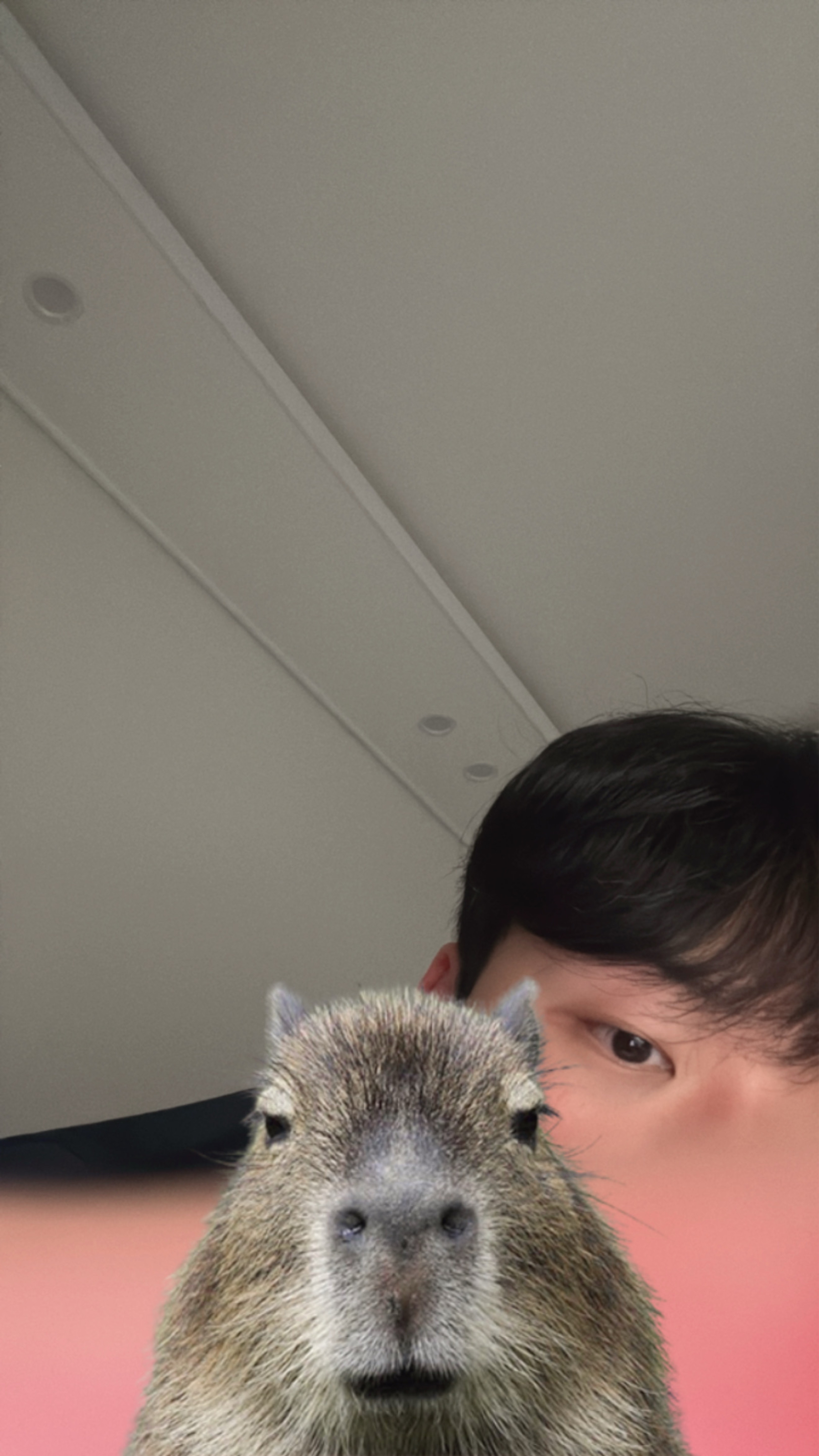 라이브콜ㄱㄱ