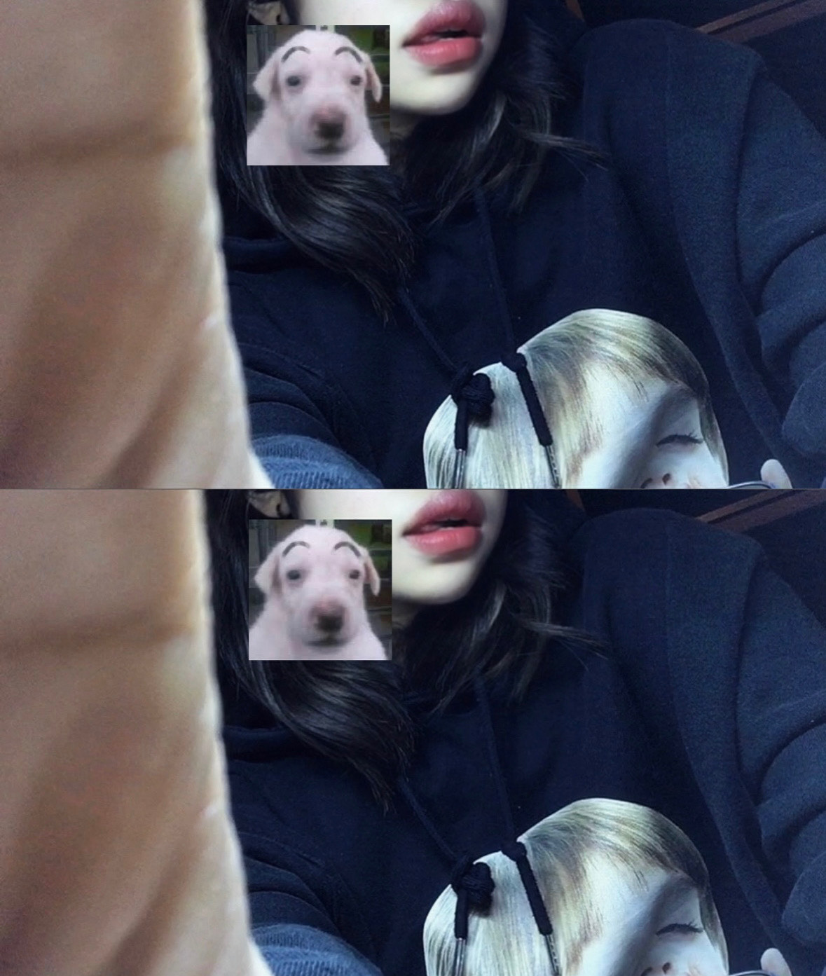 진짜pli