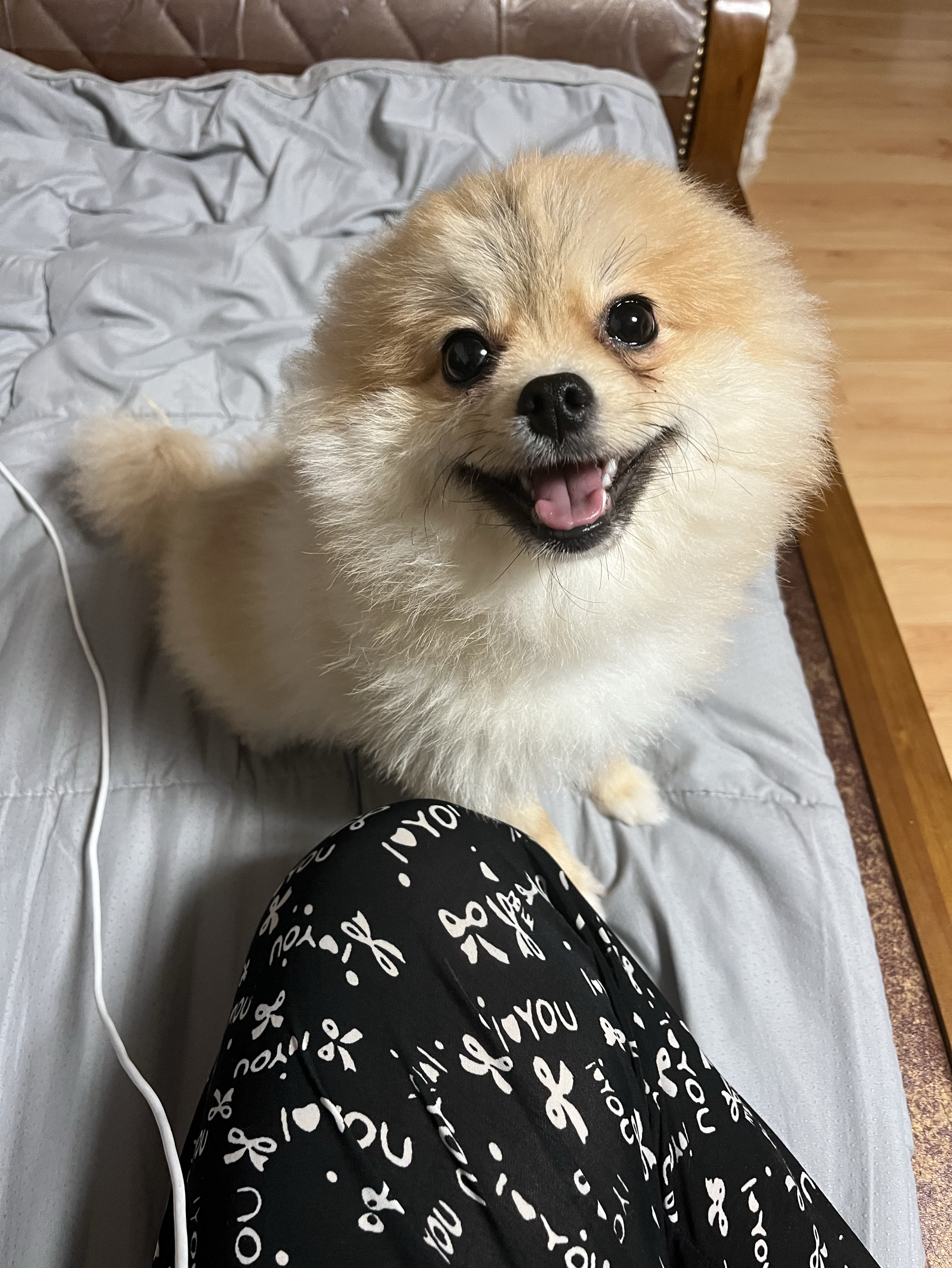 라                  콜