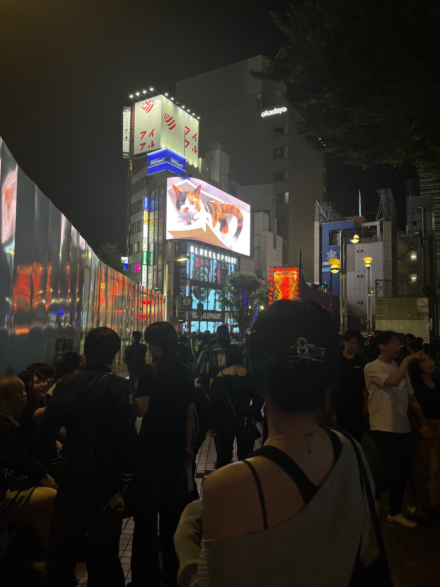 좋은데요 !