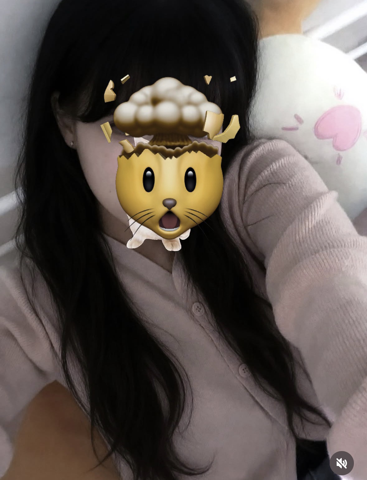 진짜pli
