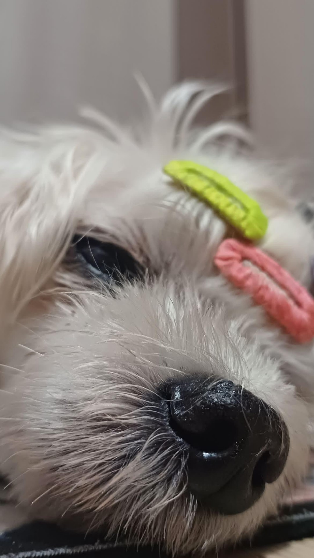 가족방