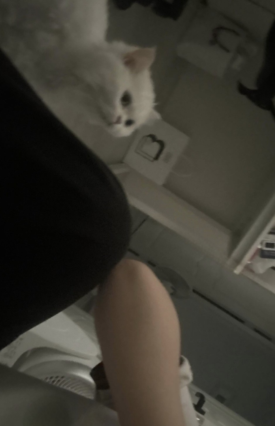 해파리 되실분