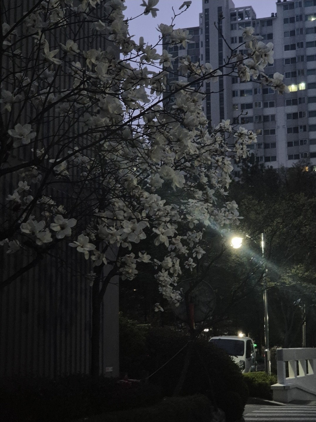 수다떨장