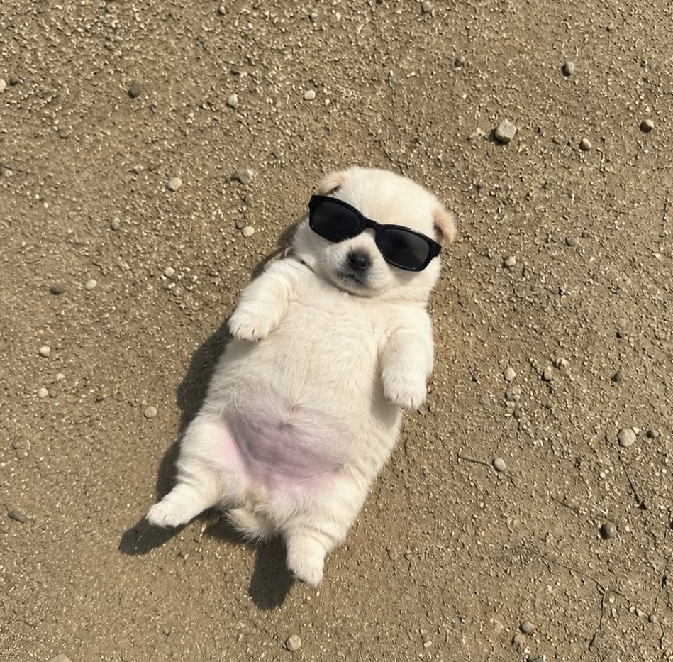 # Zzz
