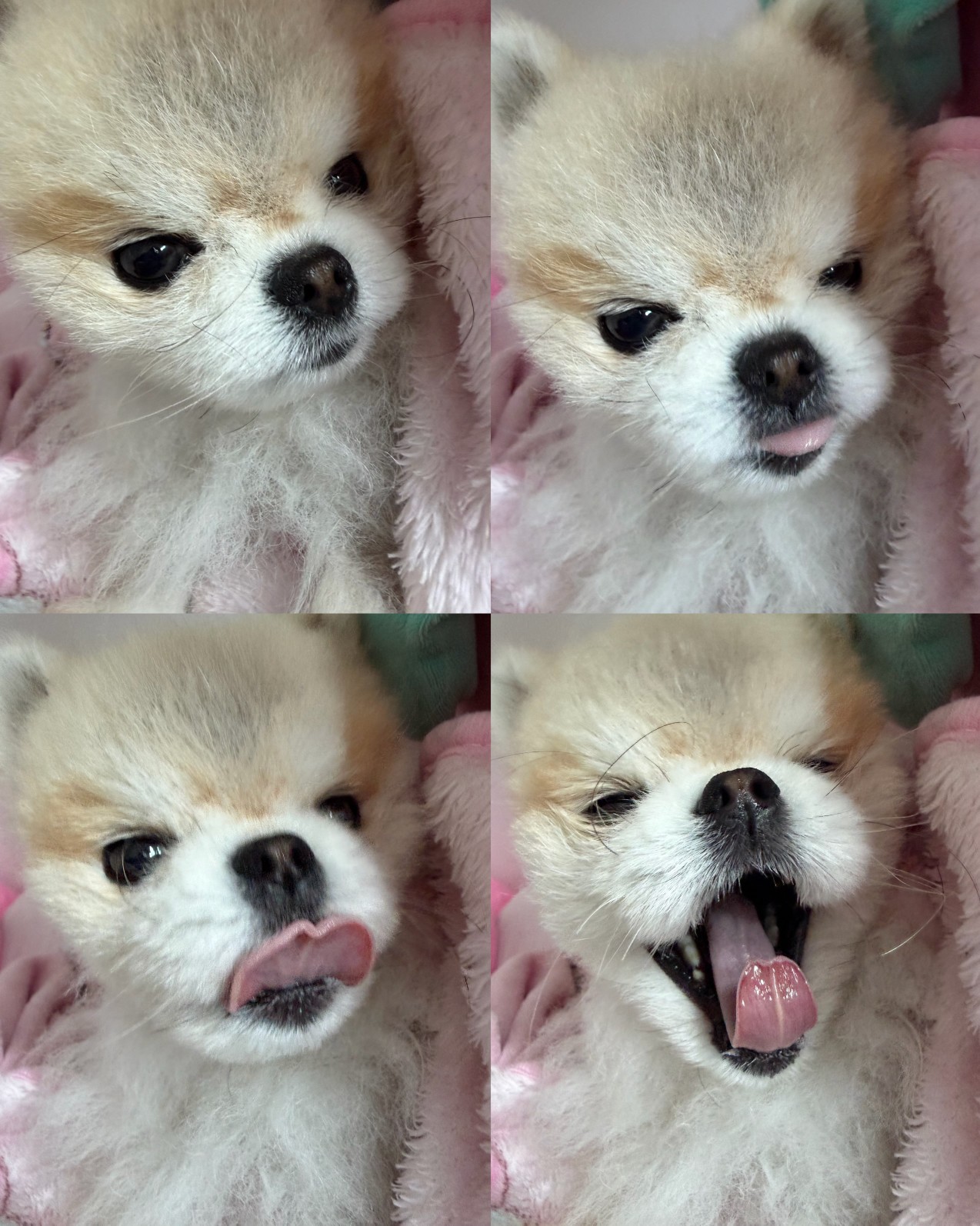# 마감마감 렉스예수!!