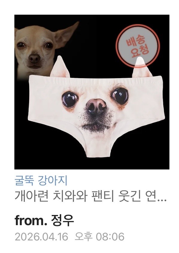 패션인거야