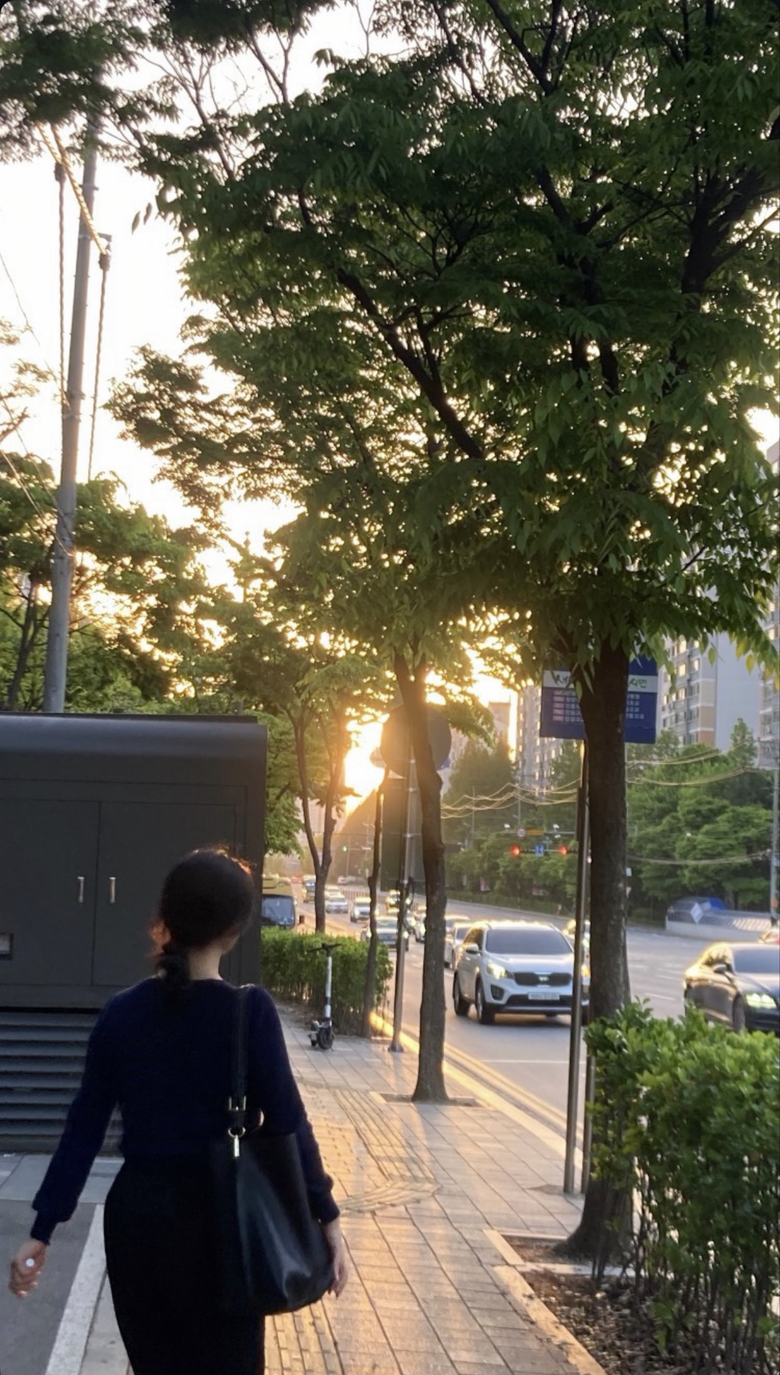 목소리 빌려줄게, 자러 와요 -