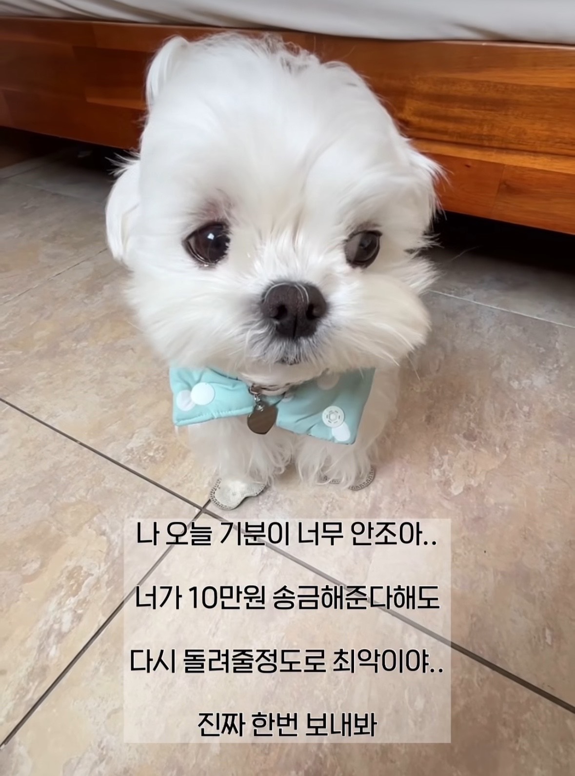 어서오됴 ..
