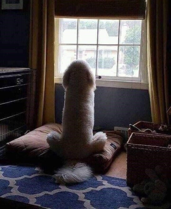 여름아 부탁해 아잇쿠
