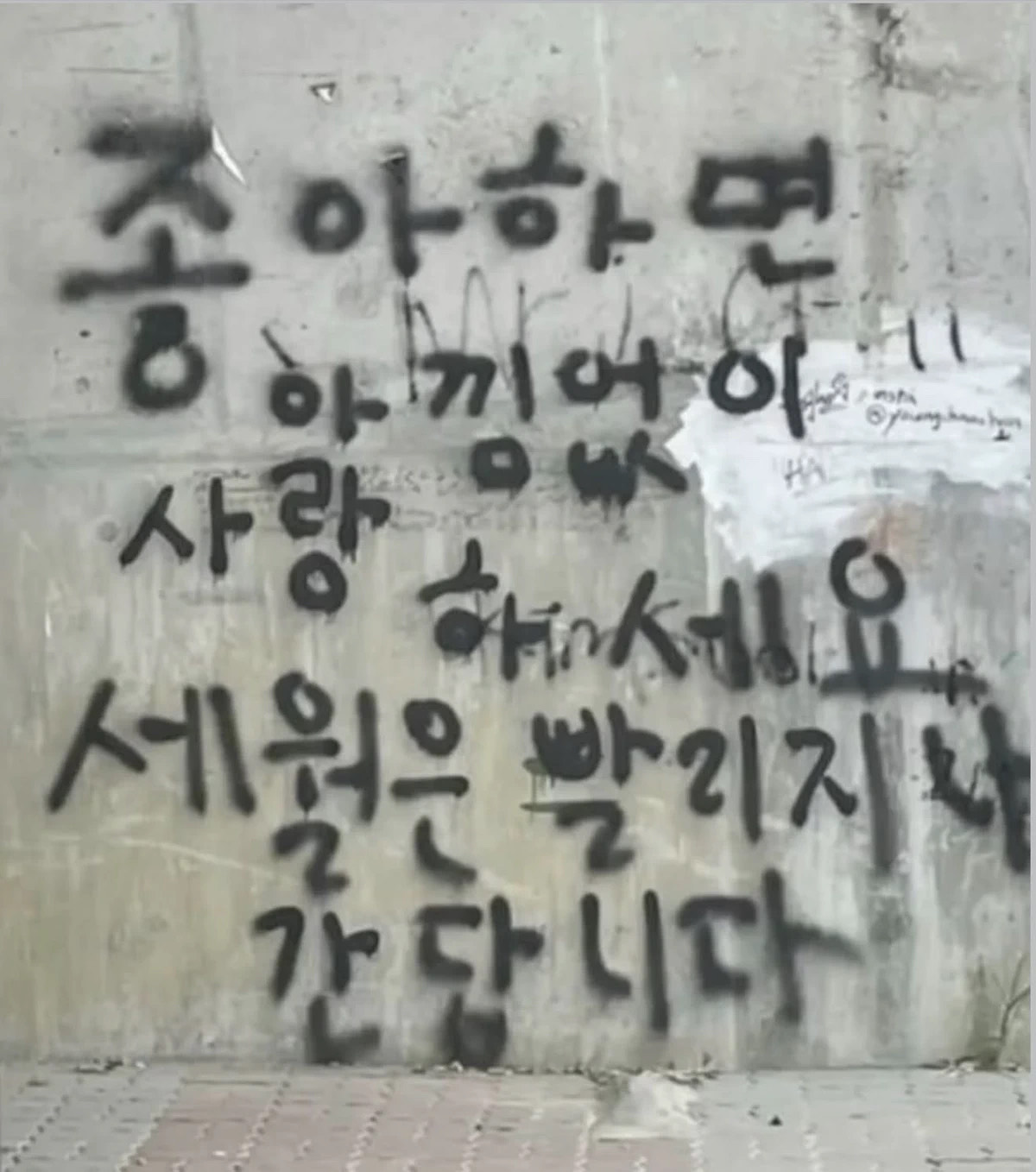 라콜이나하까요