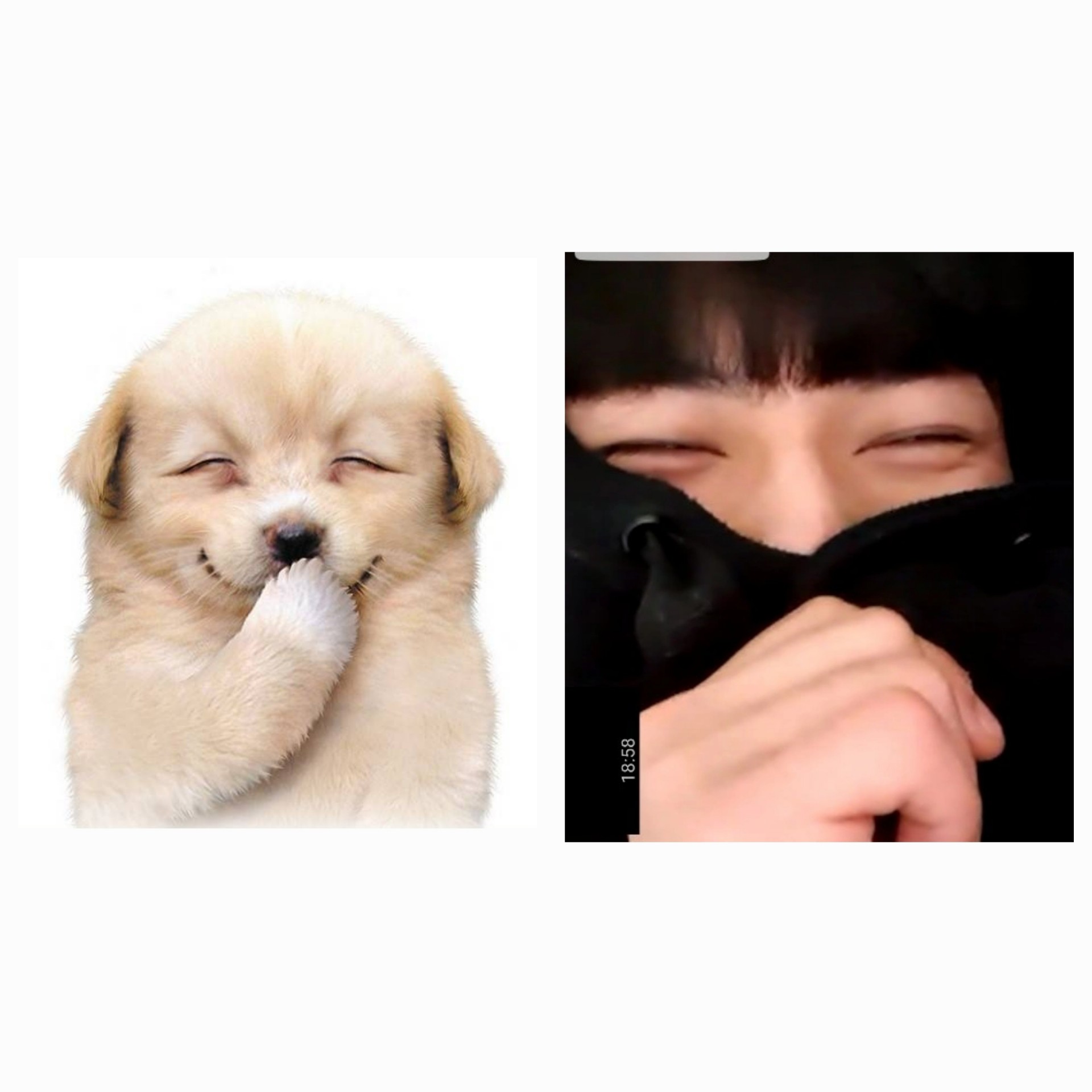 4일차 좋은아침입니당