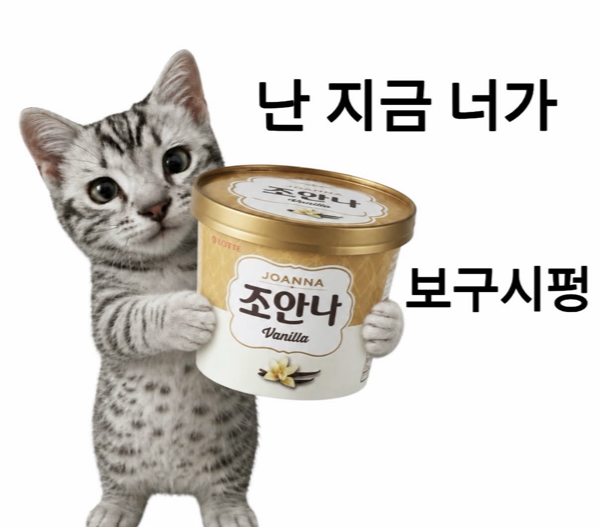 마떼루요