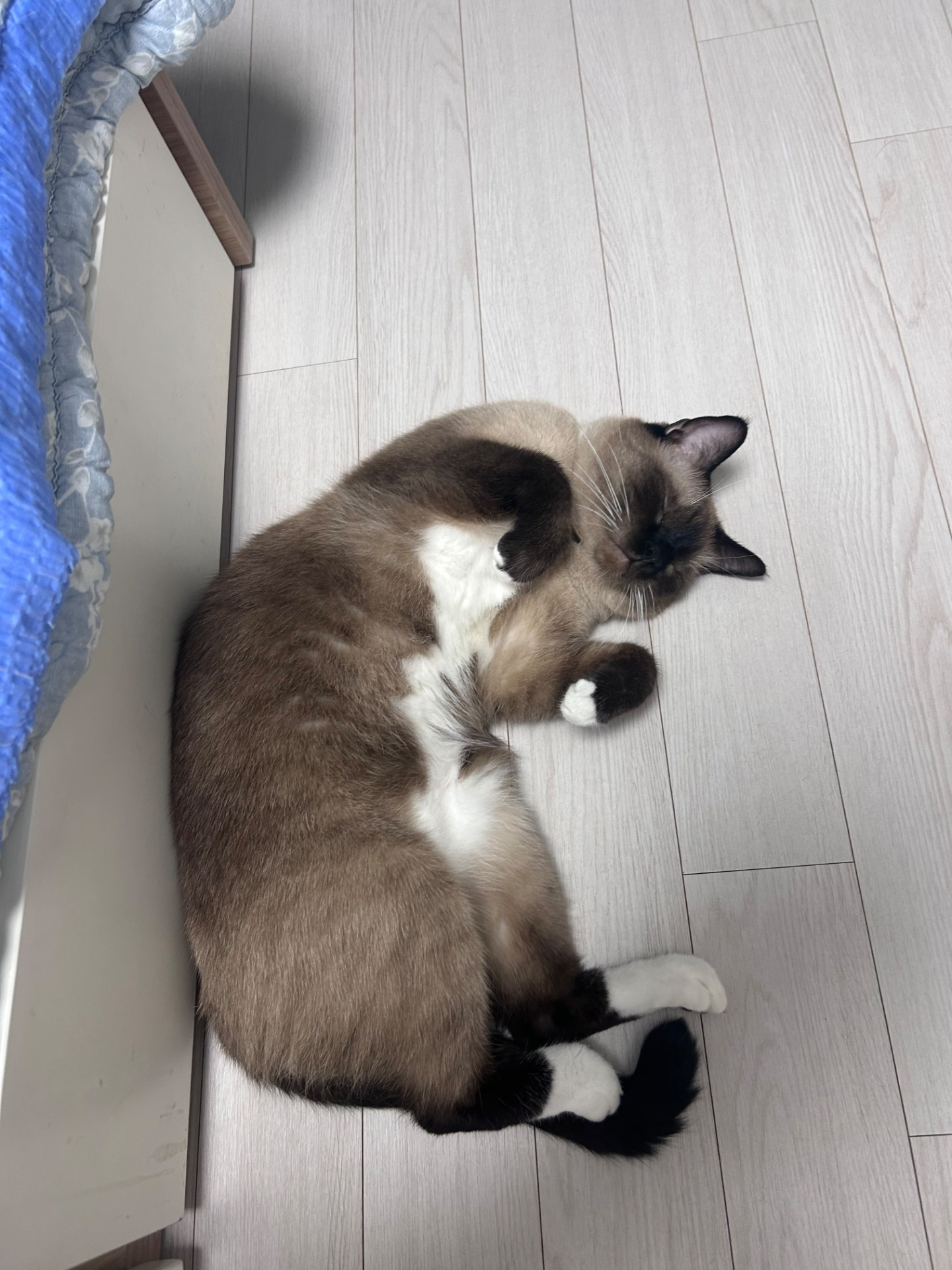 흡연실.