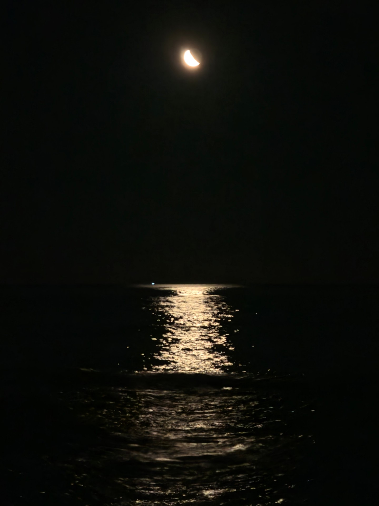 너의 새벽에 𝙷𝚘𝚛𝚊 𐴑ꯦ