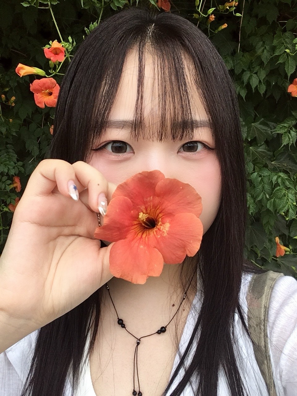 라콜 오이데