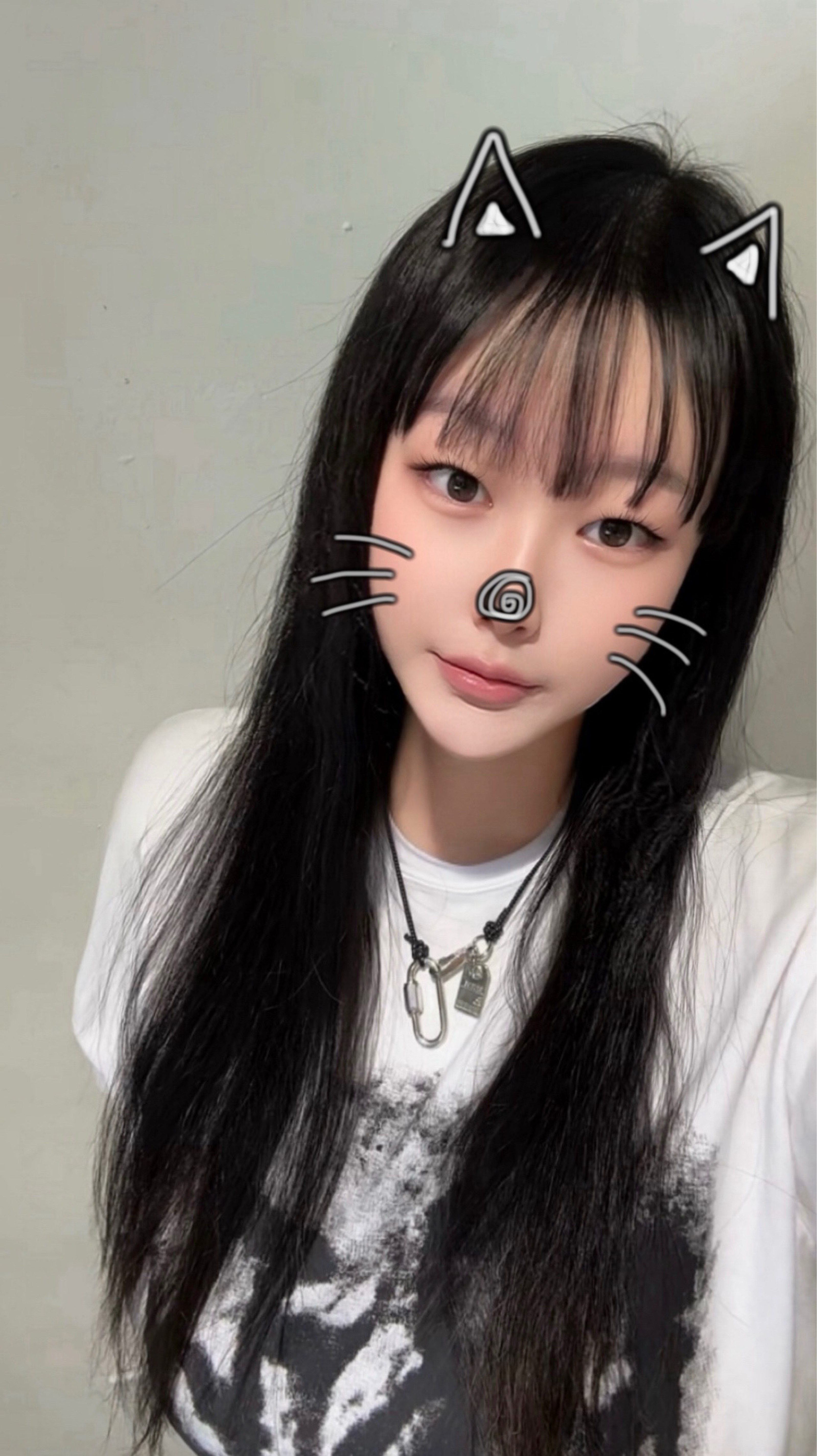 세계 고양이의 날 야옹
