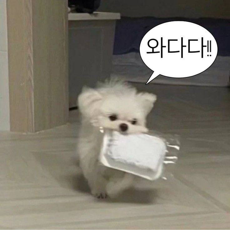 데이트중