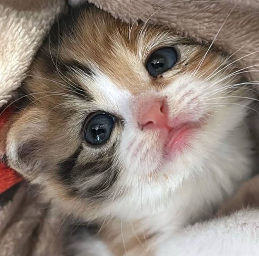 오늘은 같이 있어요.