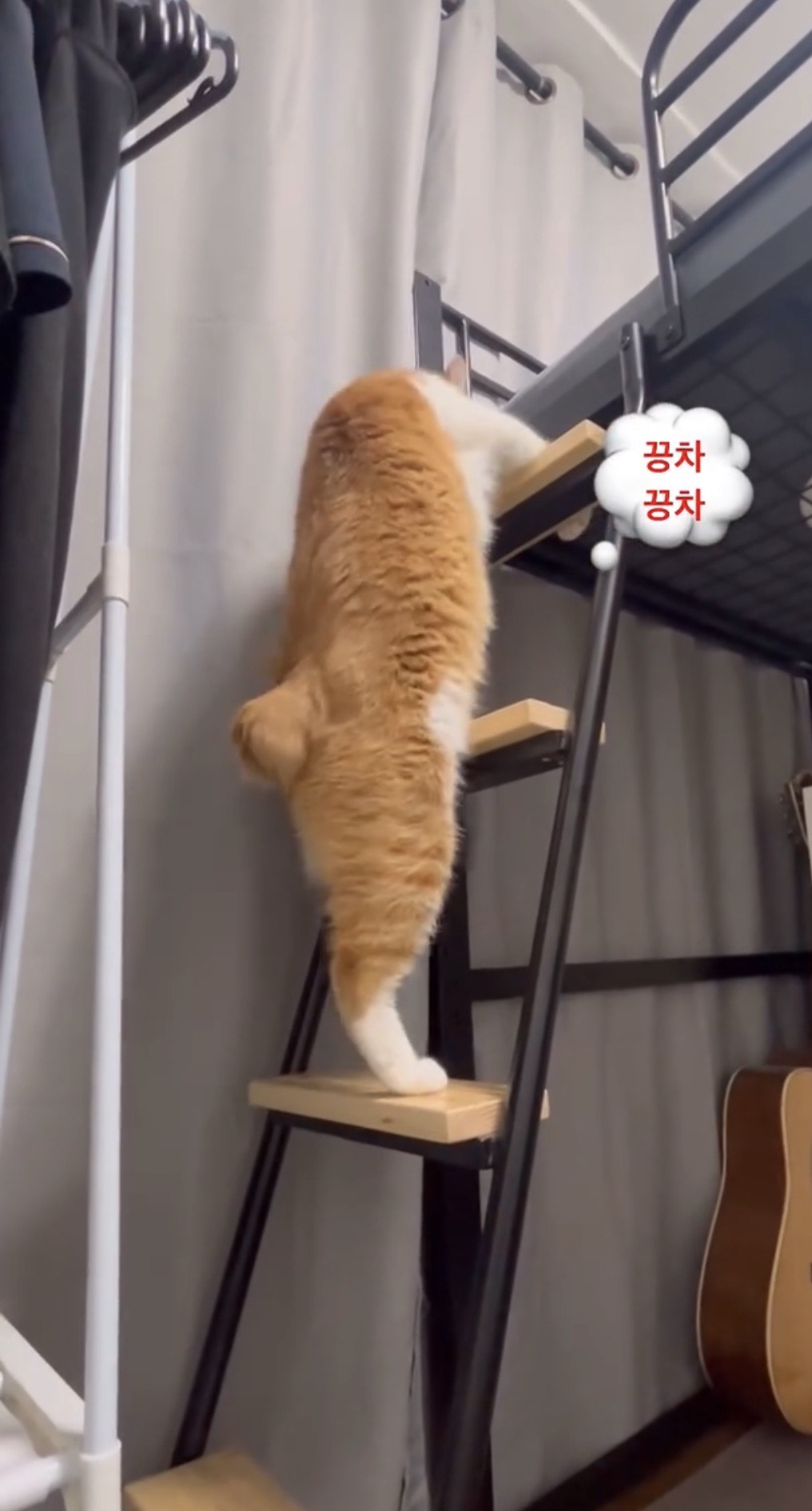 열기는 더해지고