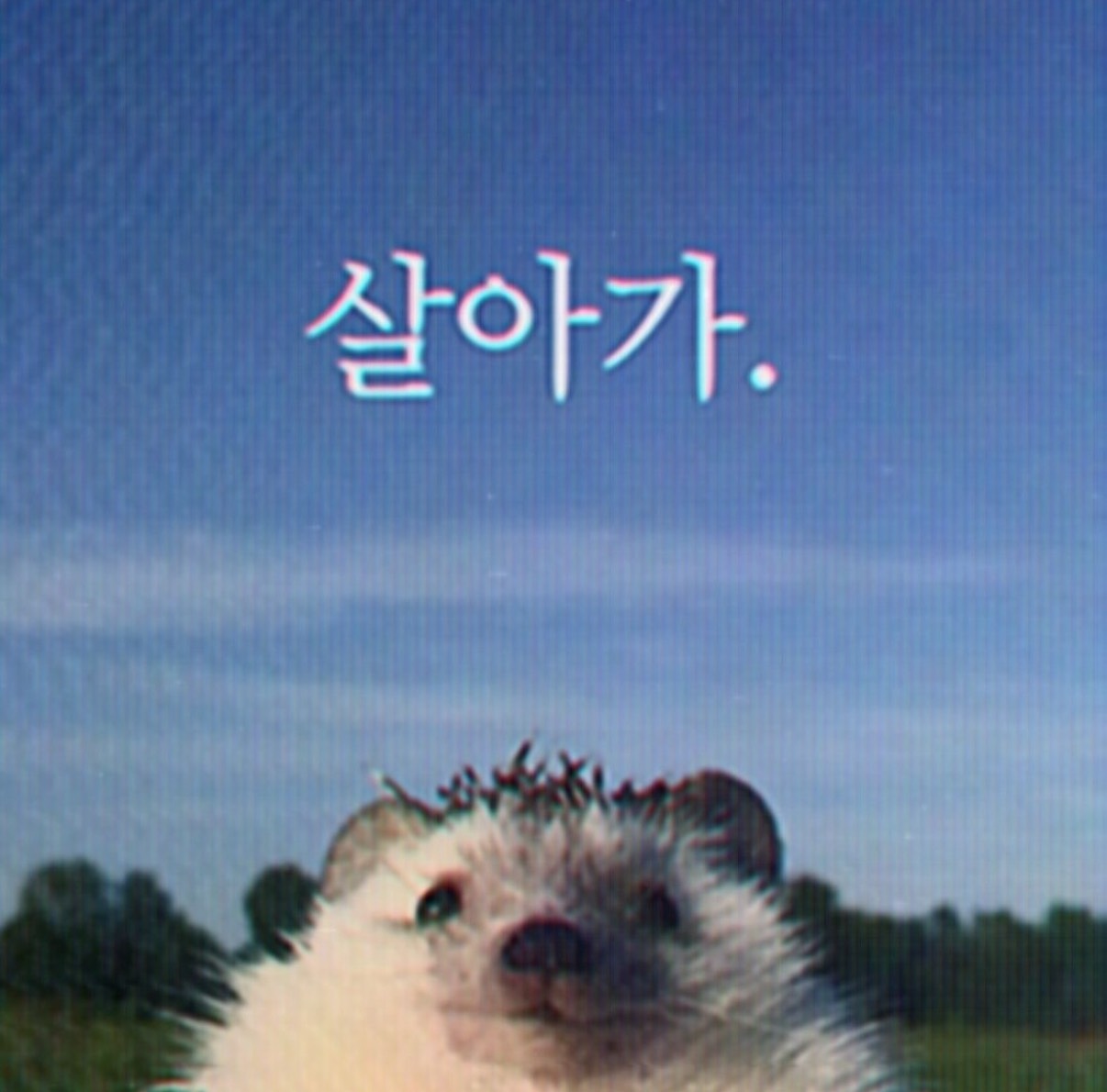 갈치랑 라콜 데이투 ㅋㅋ