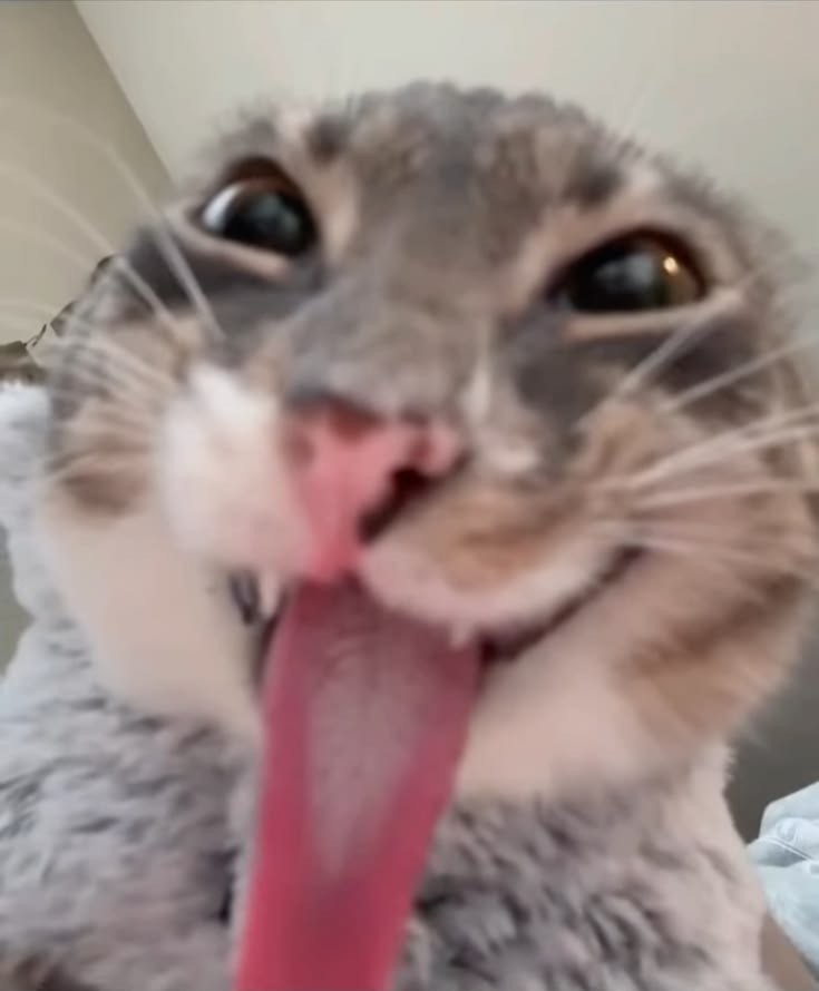수다방?
