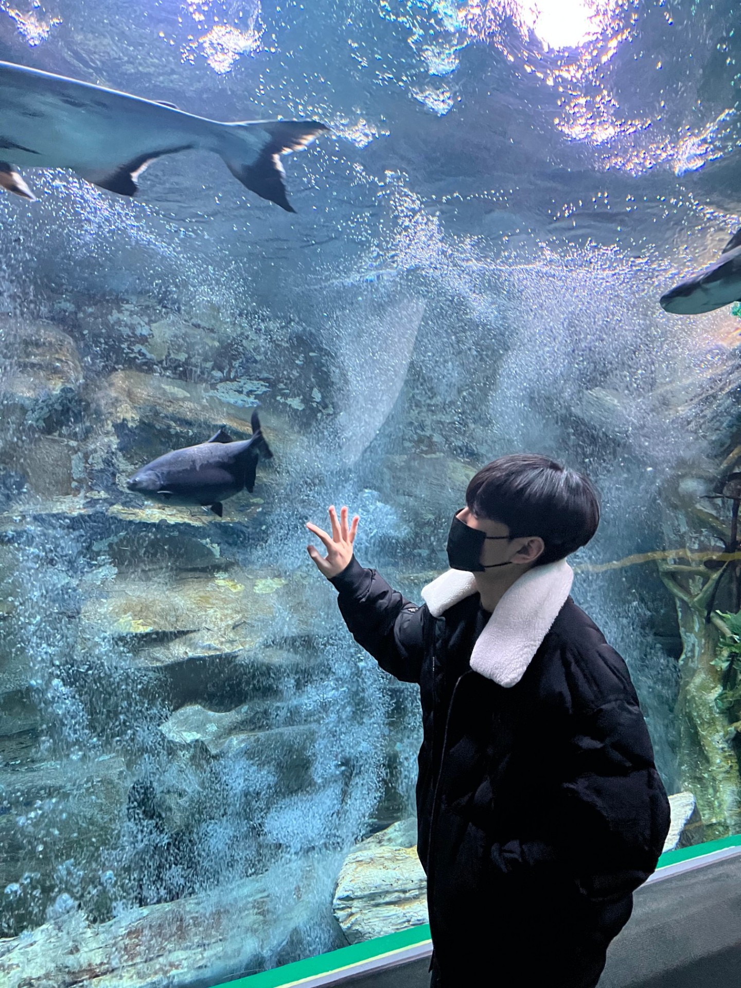 6시 네 로 소개팅 ㄱㄱ