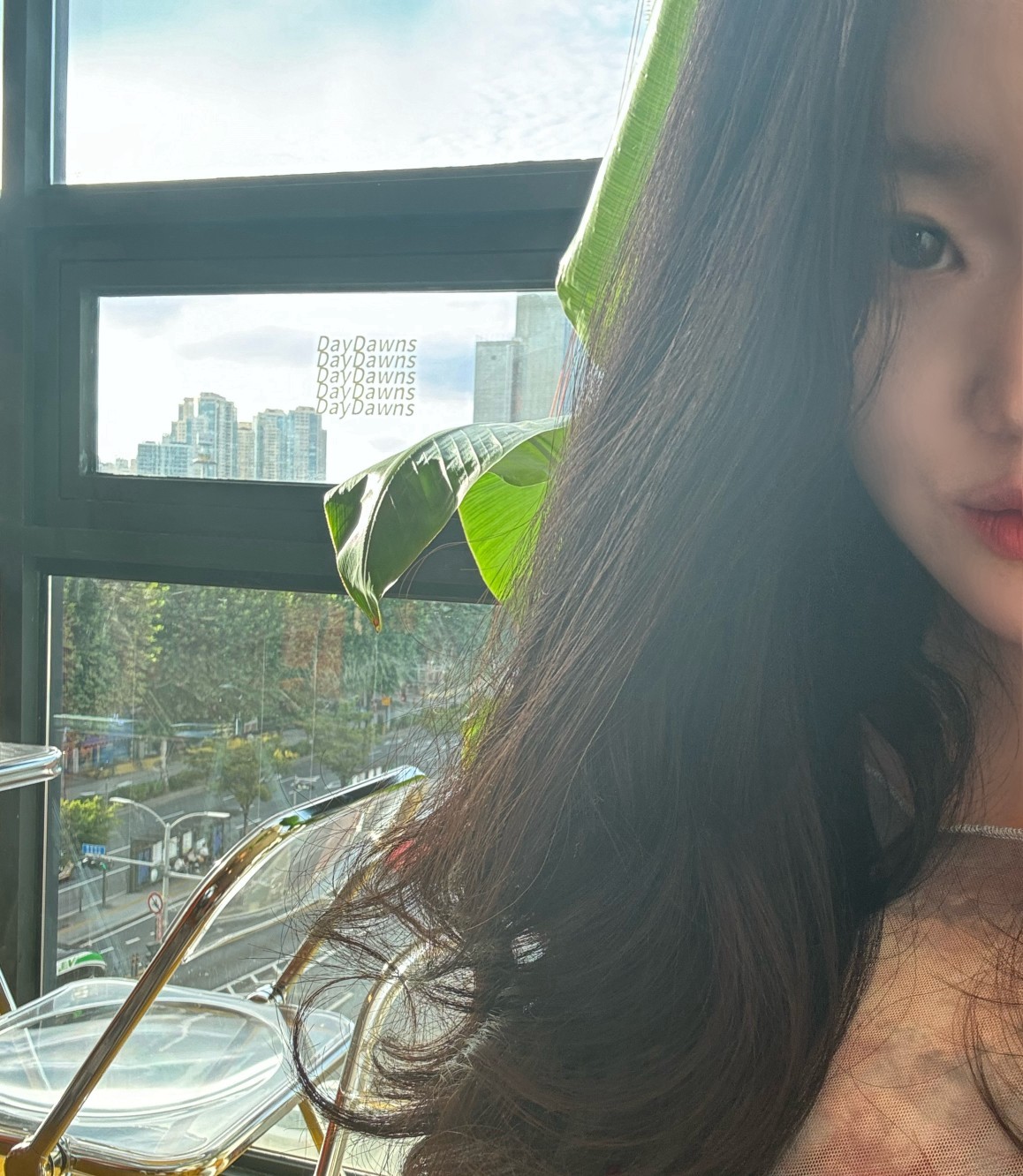 아니근데진짜