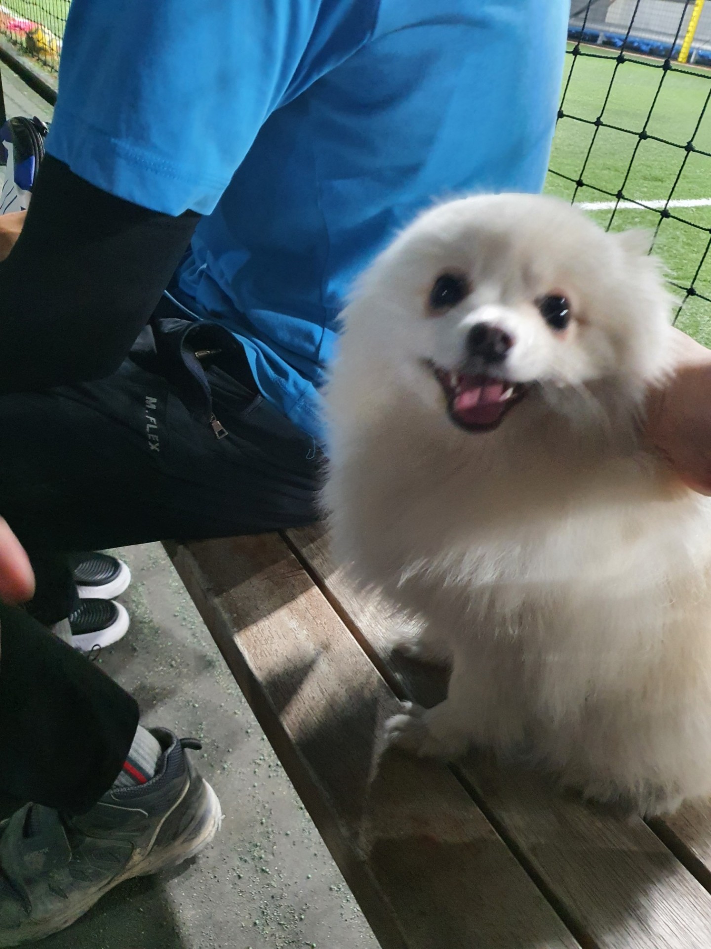 토요일 대구날씨는 불지옥