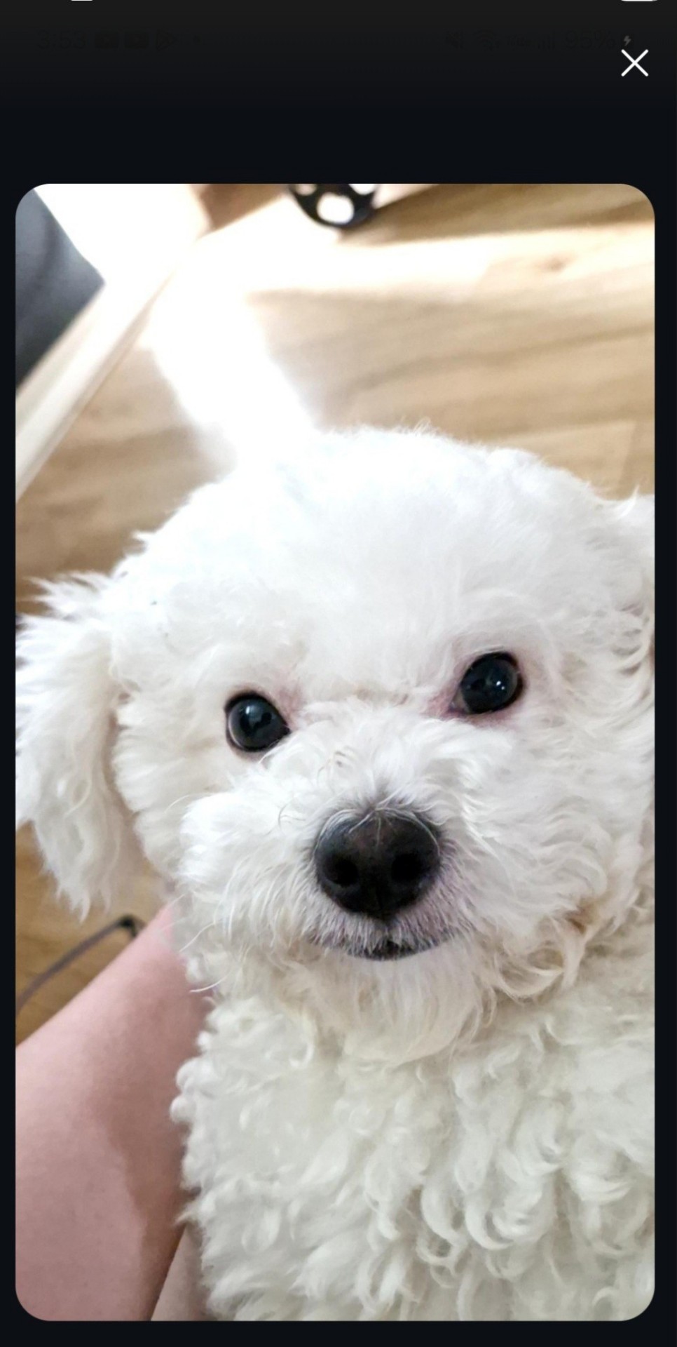 루피만 들어와