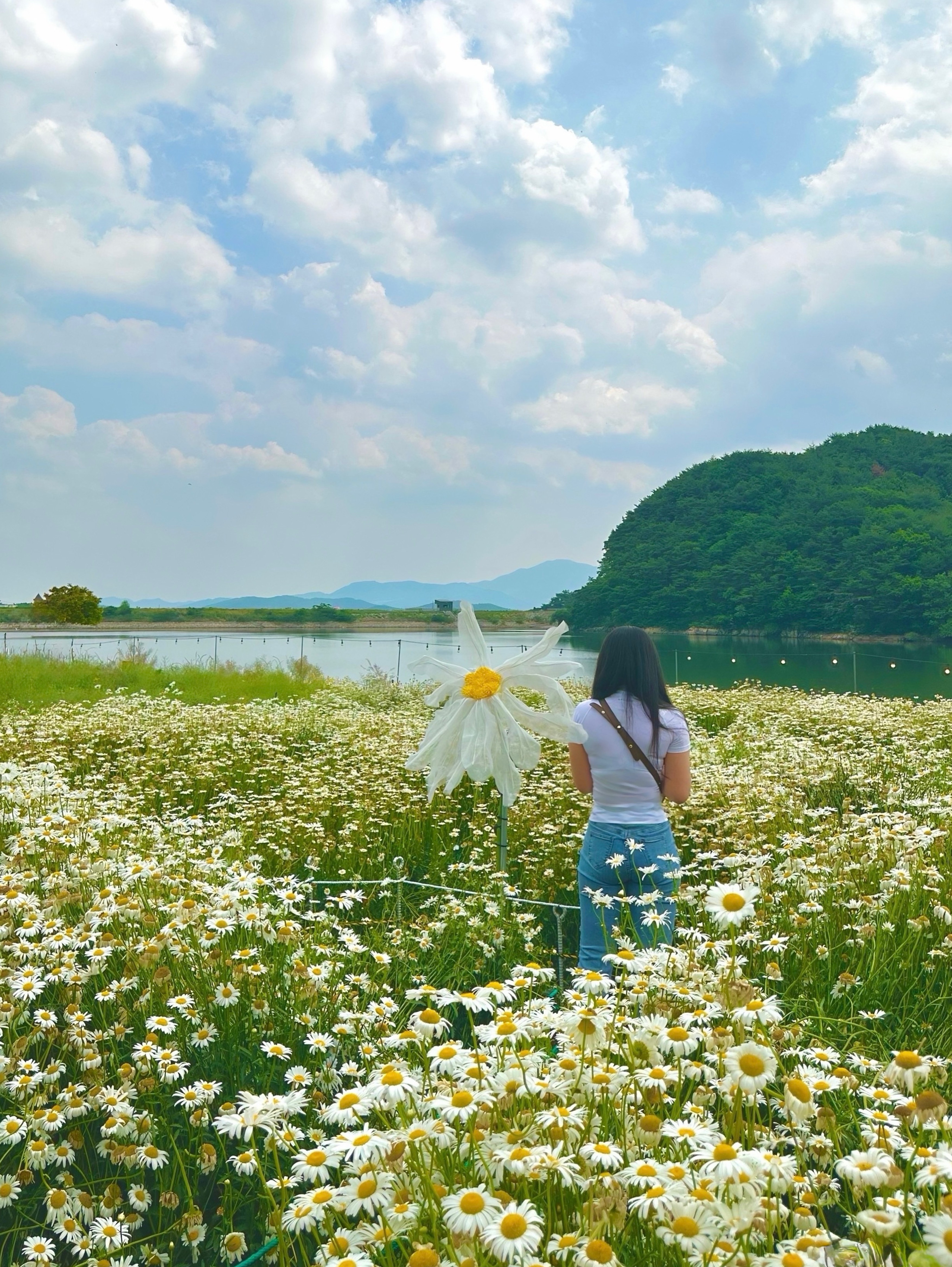 훌 러 덩