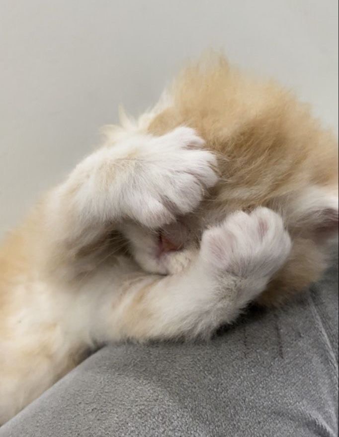 후아아ㅏㅏㅏㅏㅁ