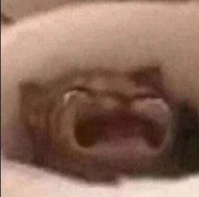 루피 들어와