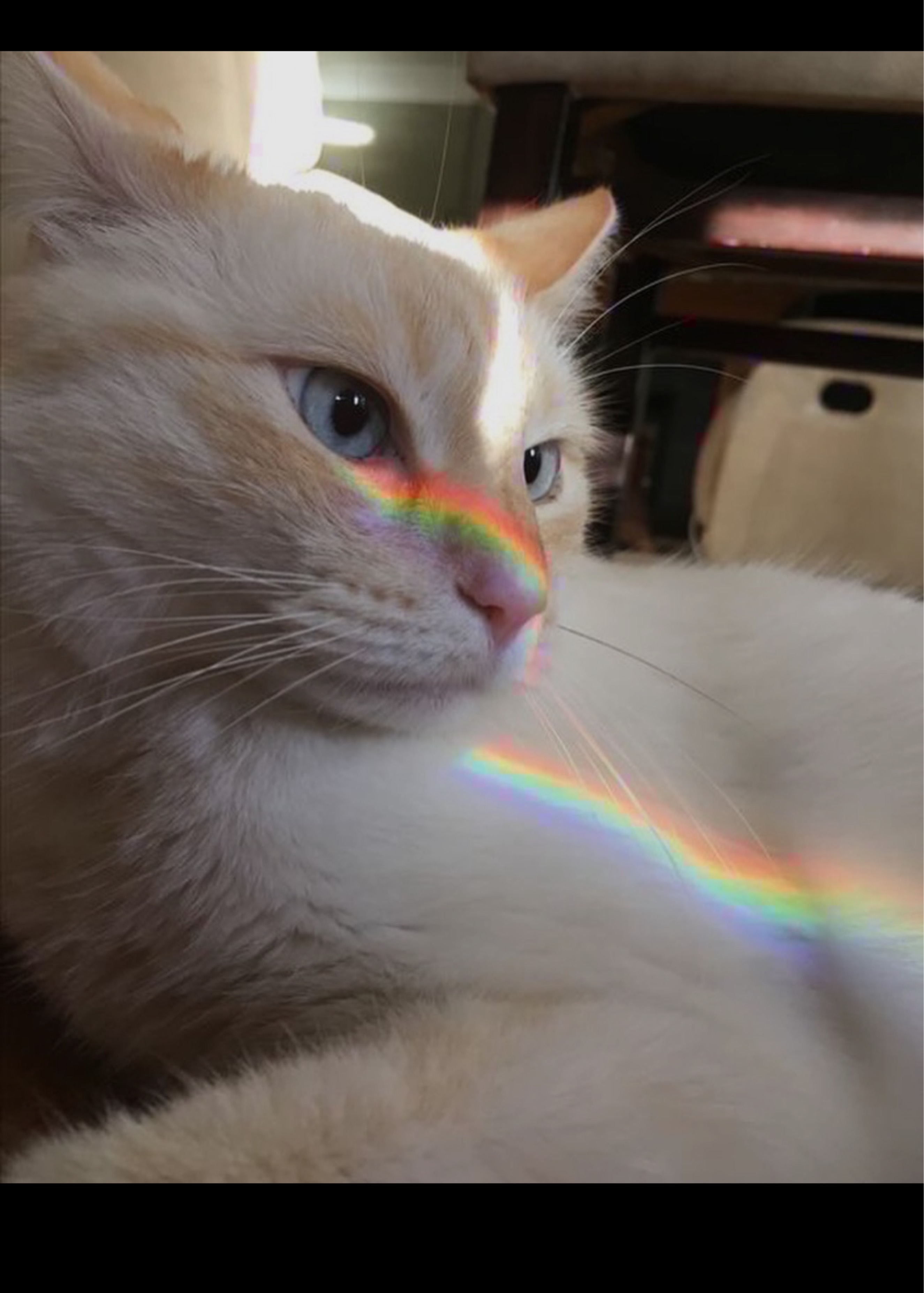 😌😌😌