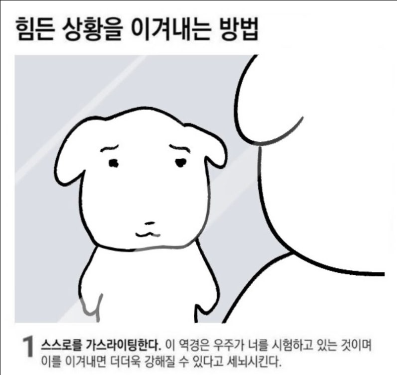 팬닉 모집 중 많관부!!