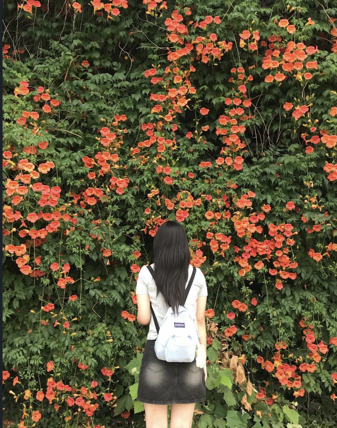  스푼 쏴주세요 ㅠㅠ
