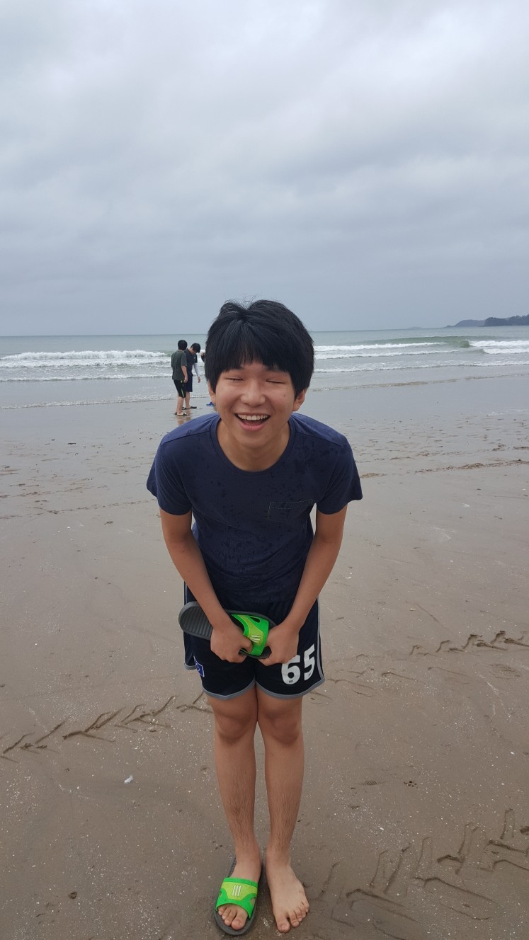 대왕 집 먼지