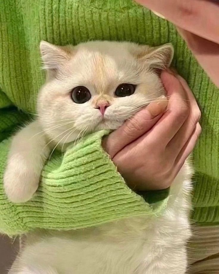 수다방