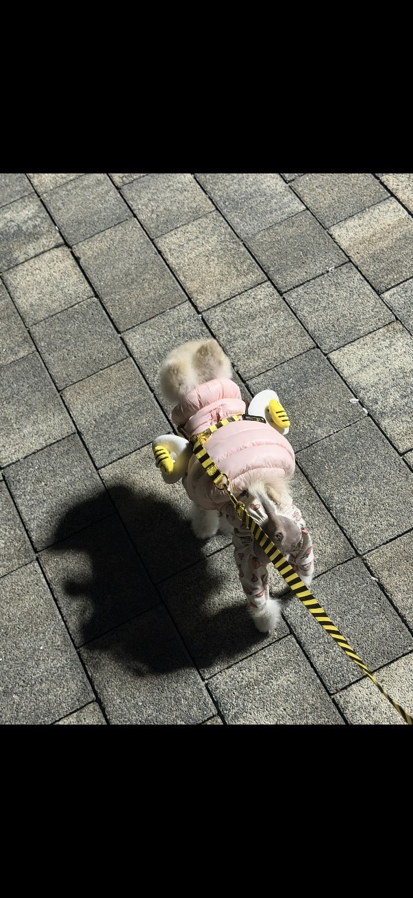 # 마감마감 진로진로
