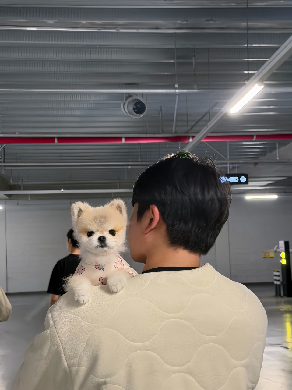 # 마감마감 렉스예수