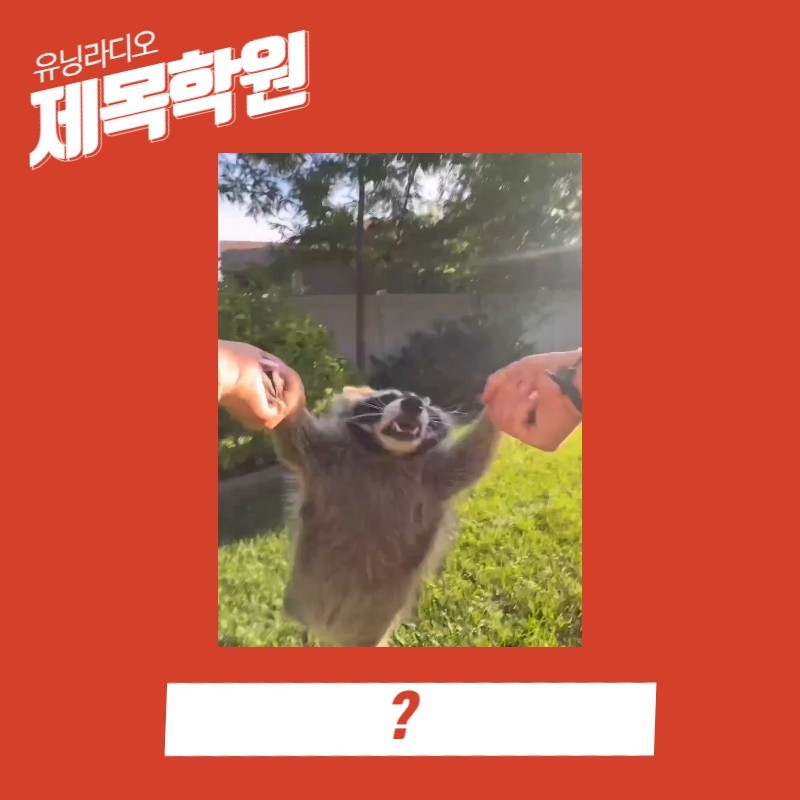 ❤제목학원/당신의 센스를 보여주세요!