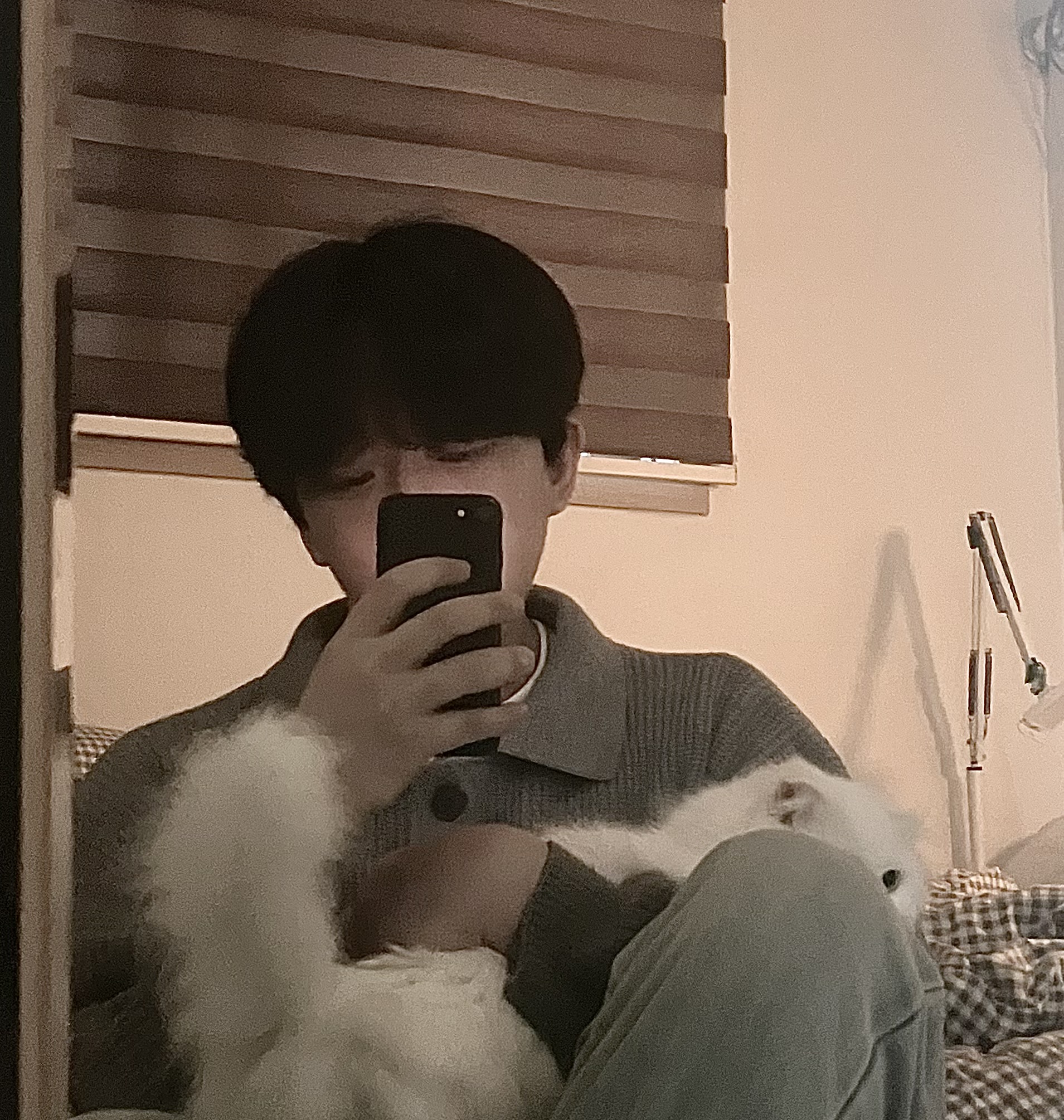 좋은 아침입니다. 