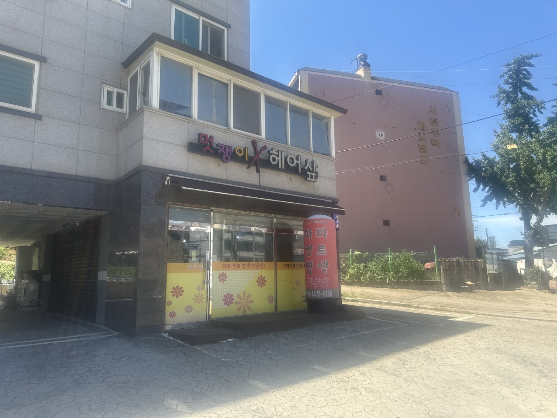 아침 대표 소개팅 관전ok