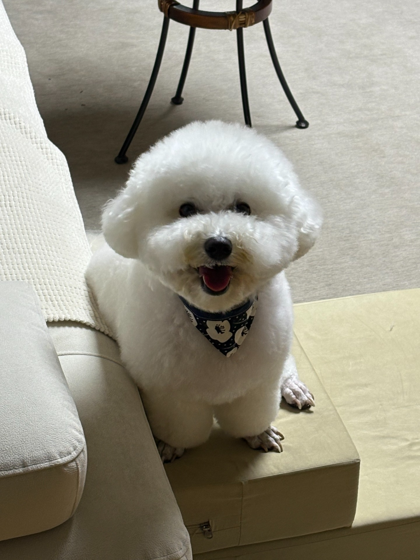 빠져들기