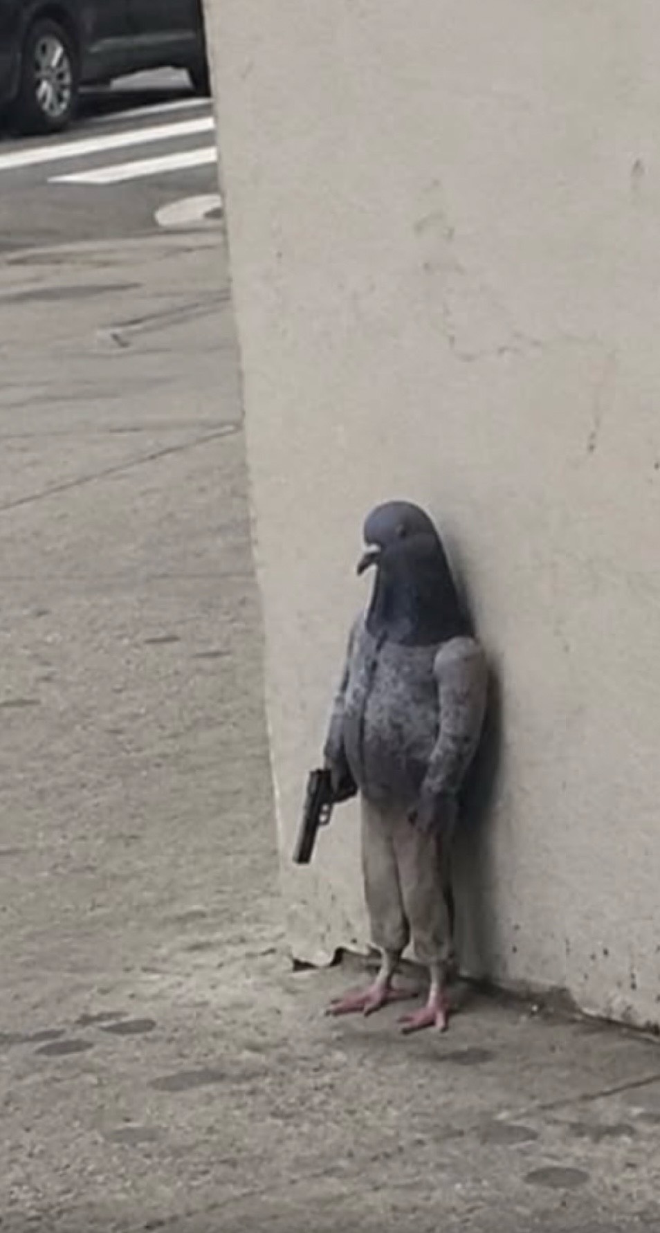 _해뜨기 전